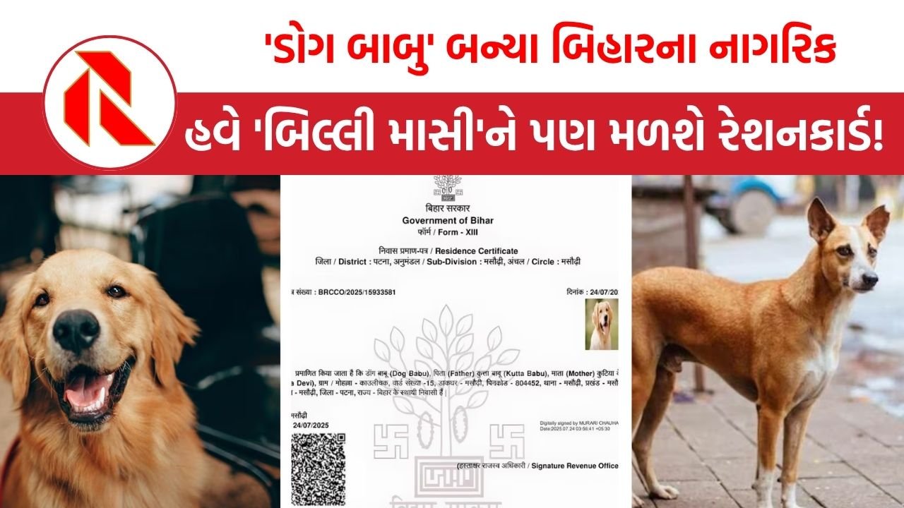 Dog Residence Certificate