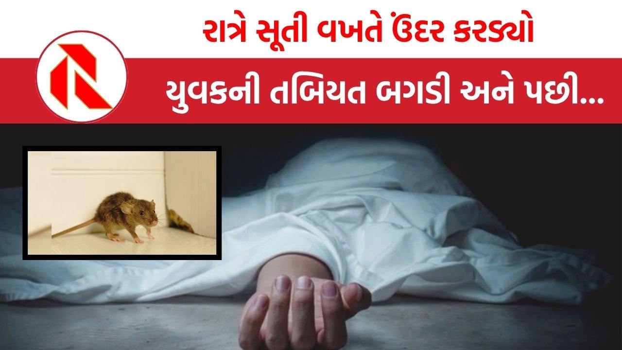 Vadodara: ઉંદર કરડવાથી કેવી રીતે થયું યુવકનું મોત? કિસ્સો જાણી તમે પણ ચોંકી જશો