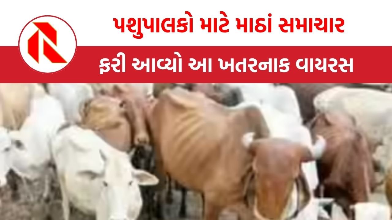 Lumpy virus in Gujarat
