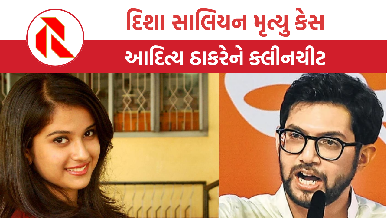The gujarat report aditya