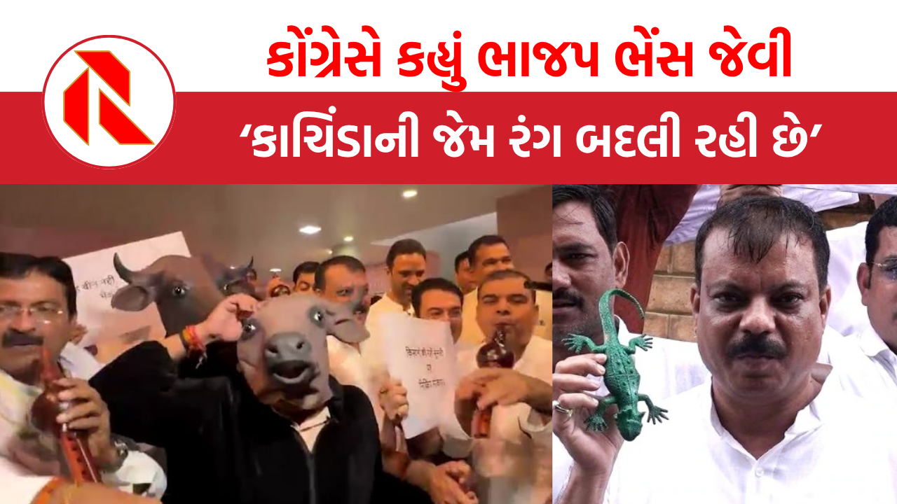 MP: ‘ભાજપ ભેંસ જેવી, કાચિંડાની જેમ રંગ બદલે છે’,  પણ કોંગ્રેસ નેતાઓ ભેંસ કેમ બન્યા?