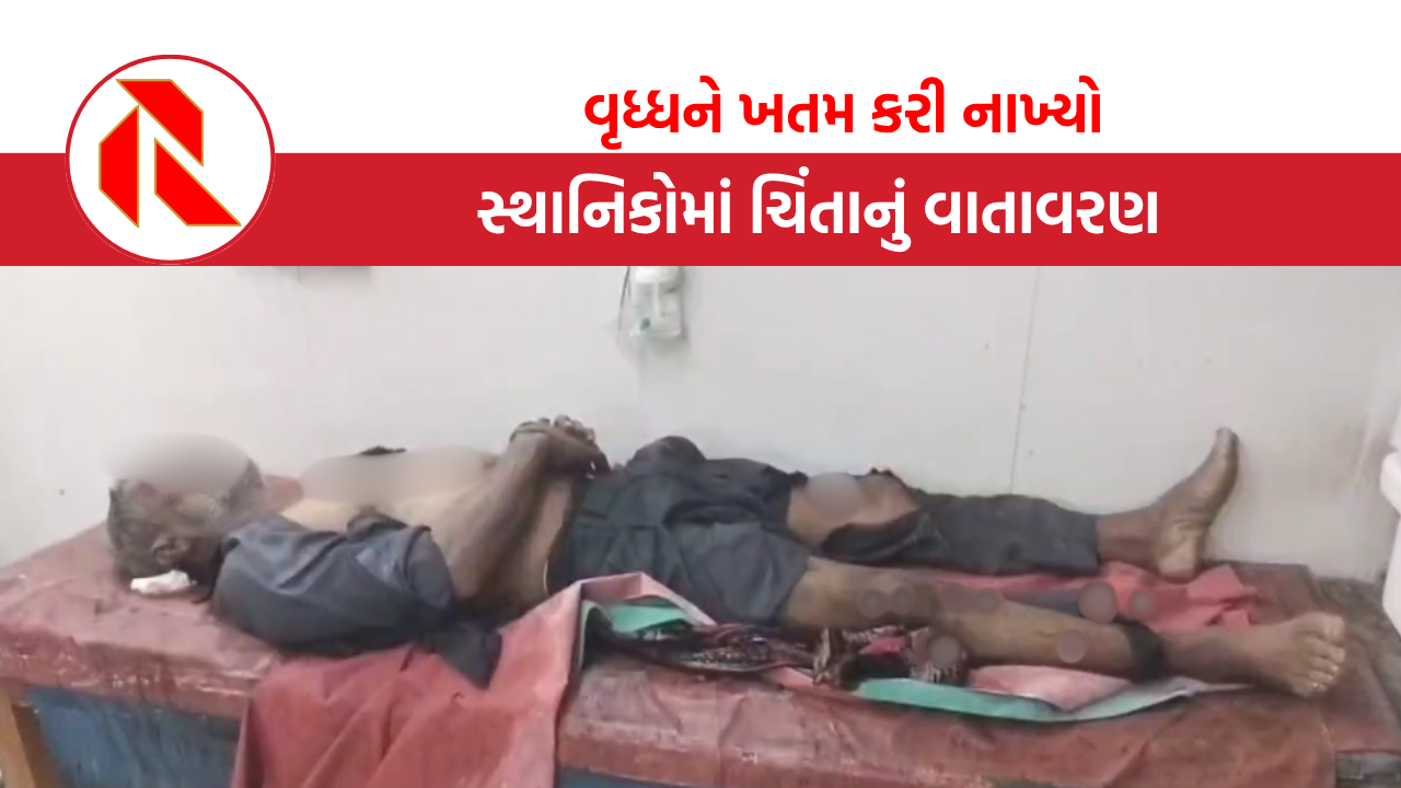 Bhavnagar: કરચલીયાપરા વિસ્તારમાં વૃદ્ધની કરપીણ હત્યા, જાણો સમગ્ર મામલો