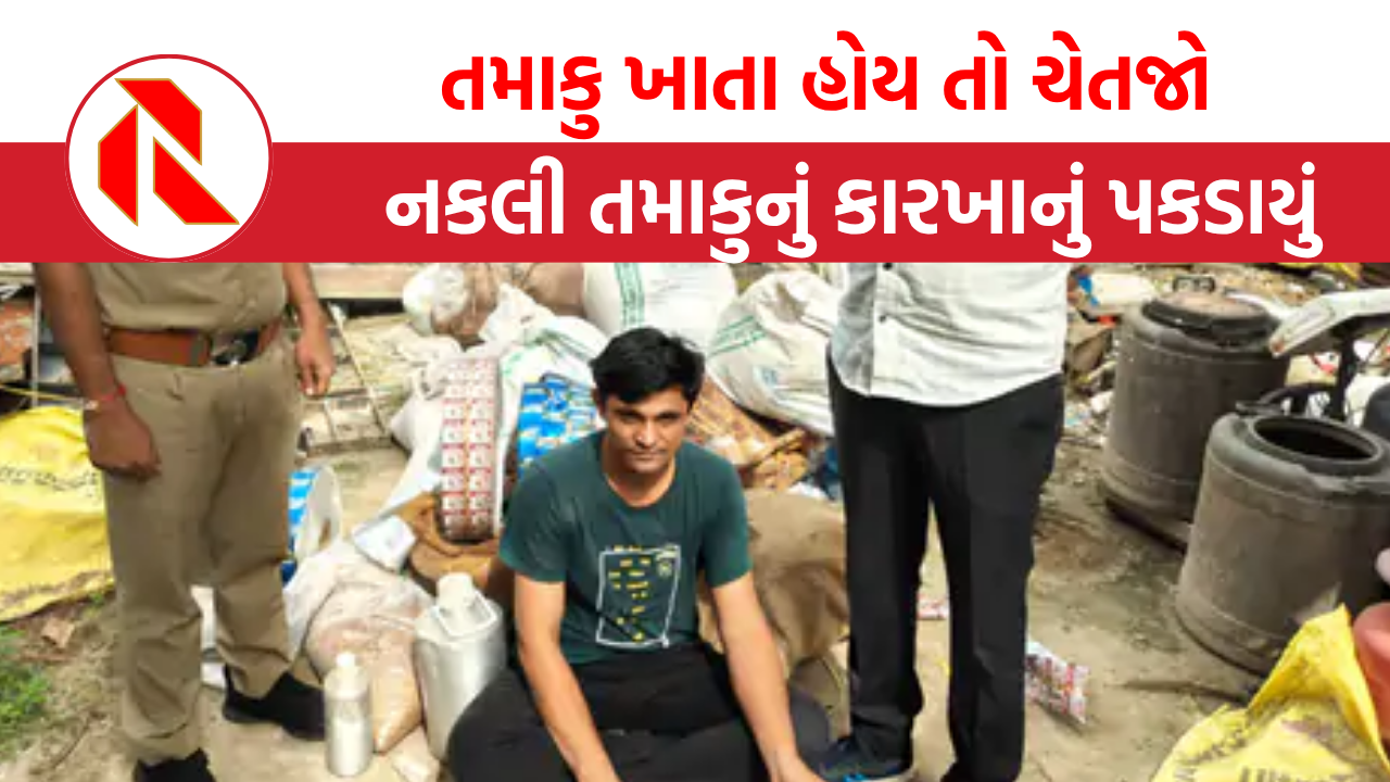 Surat: નકલી રજનીગંધા-તુલસી તમાકુનું કારખાનું પકાયું, રાત્રે થતું કામ, અસલી જેવી બનાવવા શું નાખવામાં આવતું?