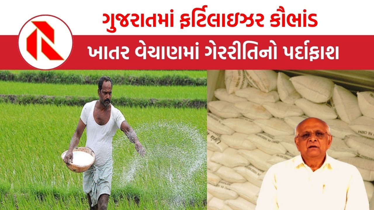 Gujarat Fertilizer Scam: ગુજરાતના ખેડૂતોને ખાતરમાં છેતર્યા,  કૌભાંડીઓ સામે સરકારે શું પગલા લીધા?
