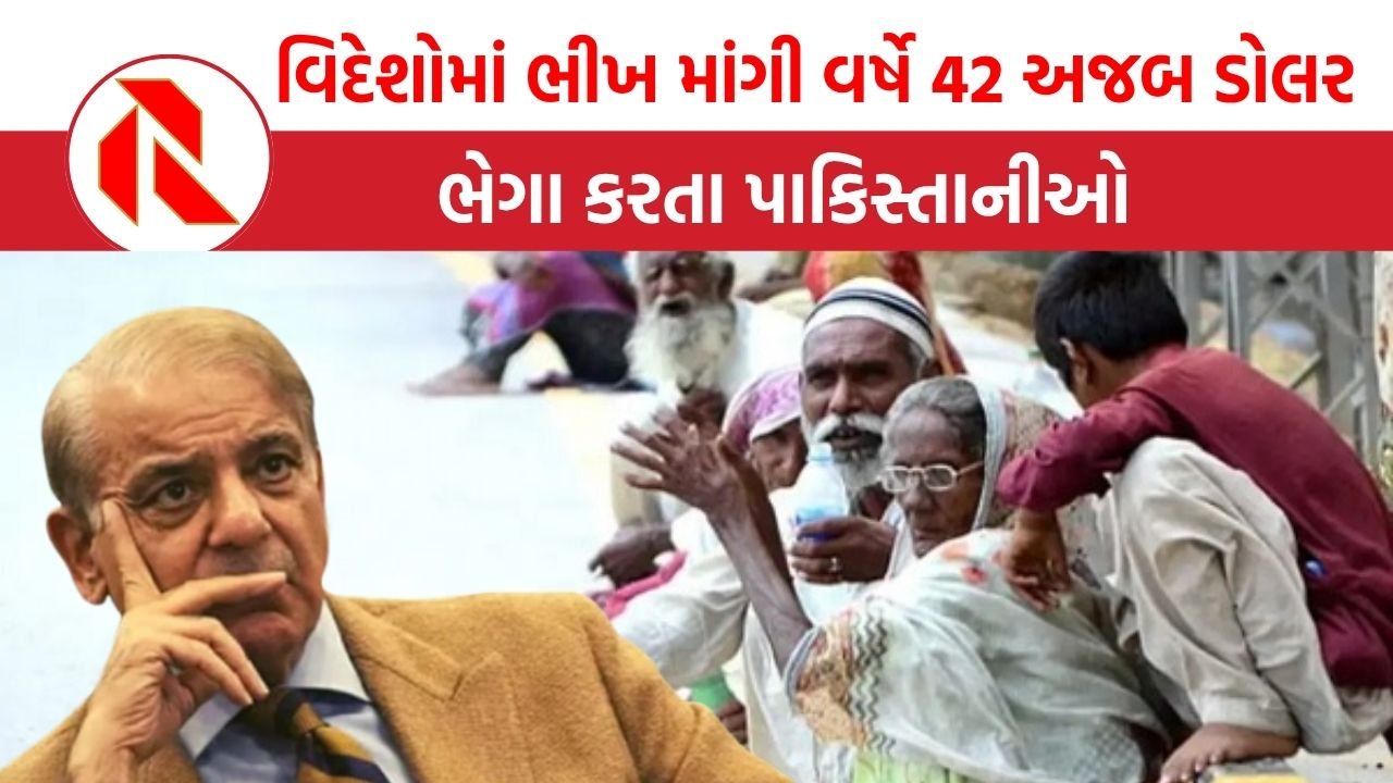 Pakistan News: પાકિસ્તાનમાં દર છઠ્ઠો વ્યક્તિ ભિખારી! ભીખ માંગવાનું નેટવર્ક વિદેશમાં ફેલાયું, અધધ કમાણી