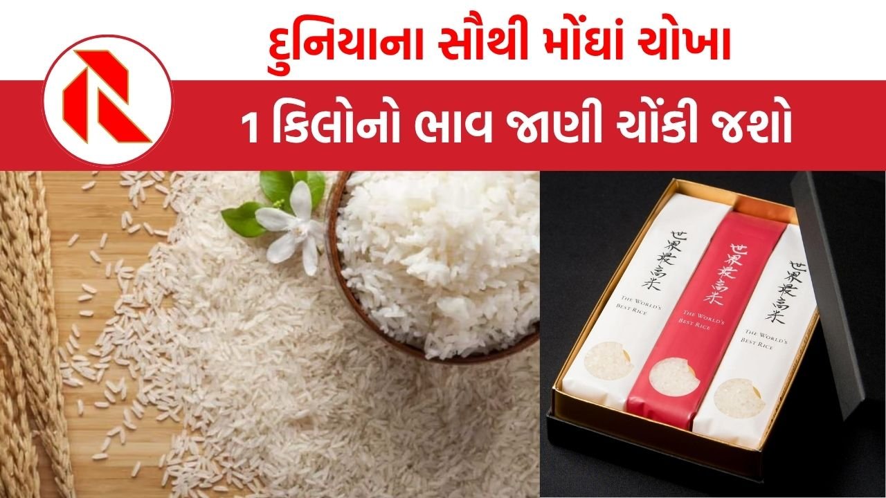 Kinmemai Premium Rice: દુનિયાના સૌથી મોંઘાં ચોખા, 1 કિલોનો ભાવ જાણી ચોંકી જશો