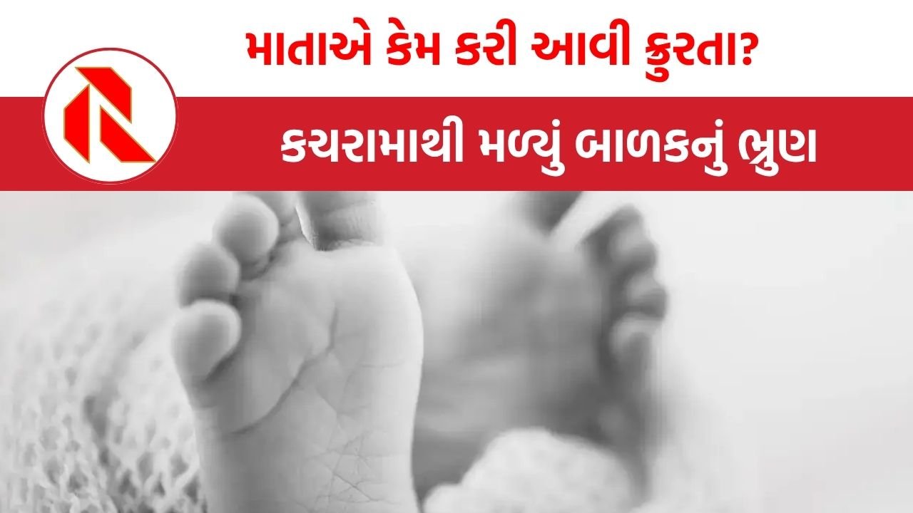 Dilhi: જન્મતાની સાથે જ માતાએ પોતાના બાળકનું ગળું દબાવી દીધું,  કચરામાંથી ભ્રુણ મળી આવતા થયો ખુલાસો