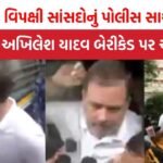 INDI Alliance Protest