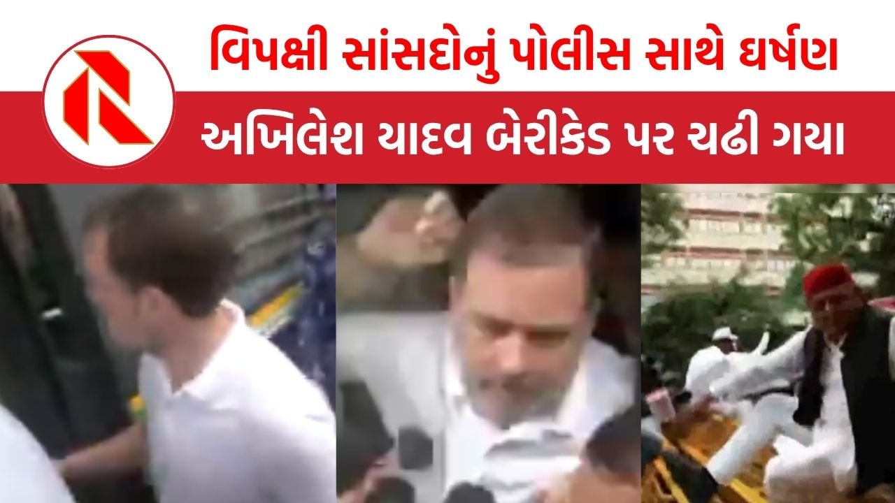 INDIA Alliance Protest: વોટ ચોરી મુદ્દે 300 વિપક્ષી સાંસદોએ કરી કૂચ, પોલીસ સાથે થઈ ઝપાઝપી, રાહુલ ગાંધી અને પ્રિયંકા ગાંધીની અટકાયત