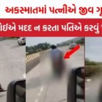MP News