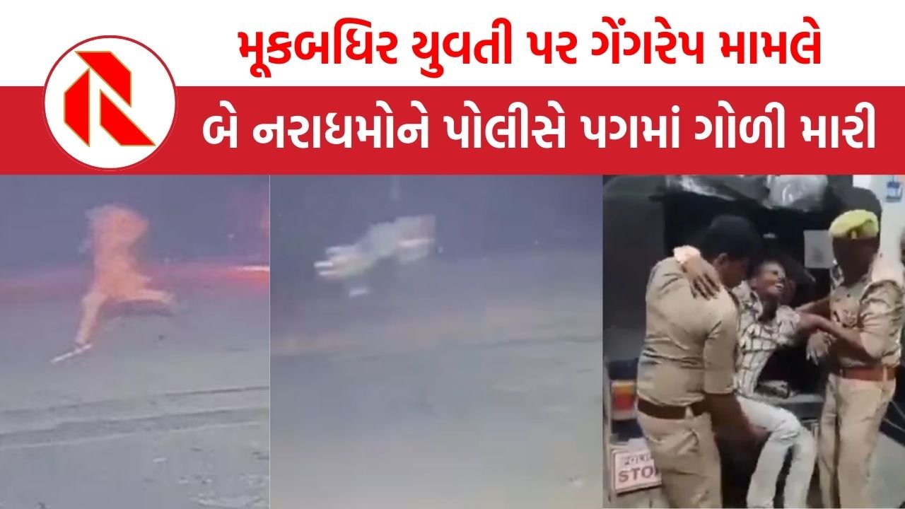UP News