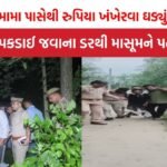 UP News