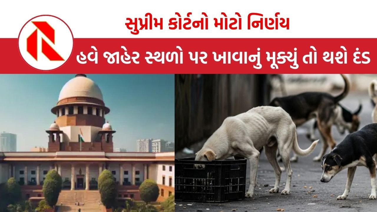 Supreme Court Verdict On Stray Dogs