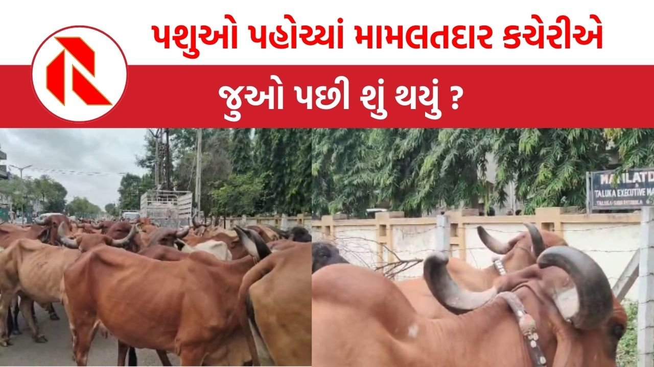 Amreli