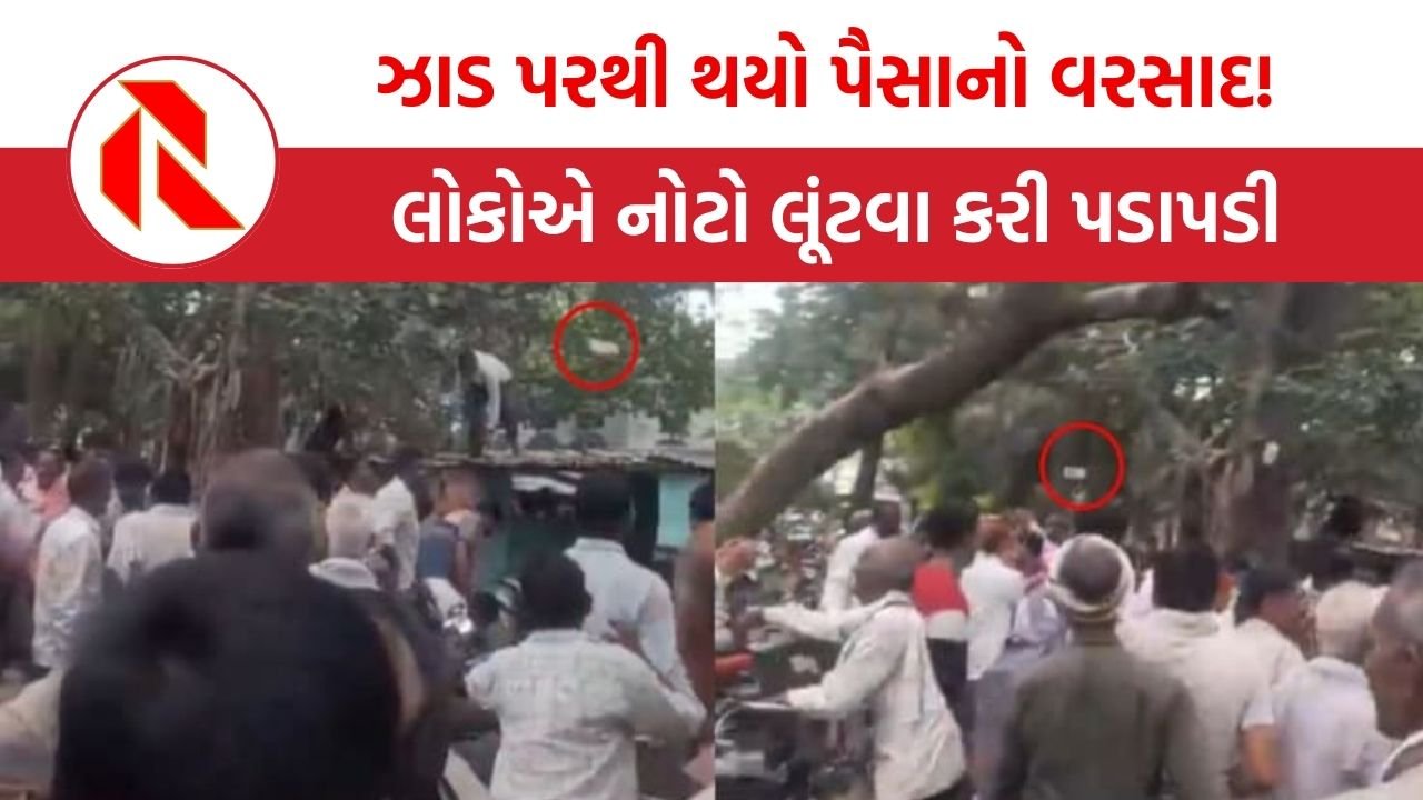 UP News