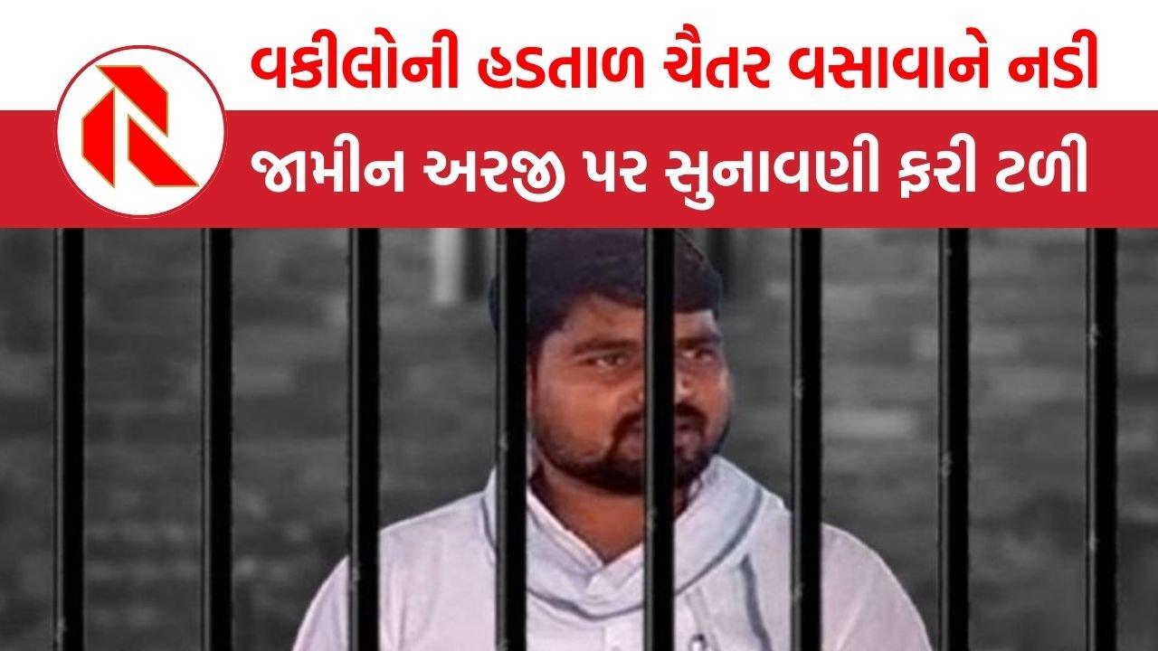 Chaitar Vasava case: હાઈકોર્ટમાં વકીલોની હડતાળ ચૈતર વસાવાને નડી, જામીન અરજી પર સુનાવણી ફરી ટળી