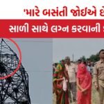 UP News: