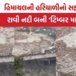 Himachal Pradesh Flood