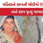 UP News