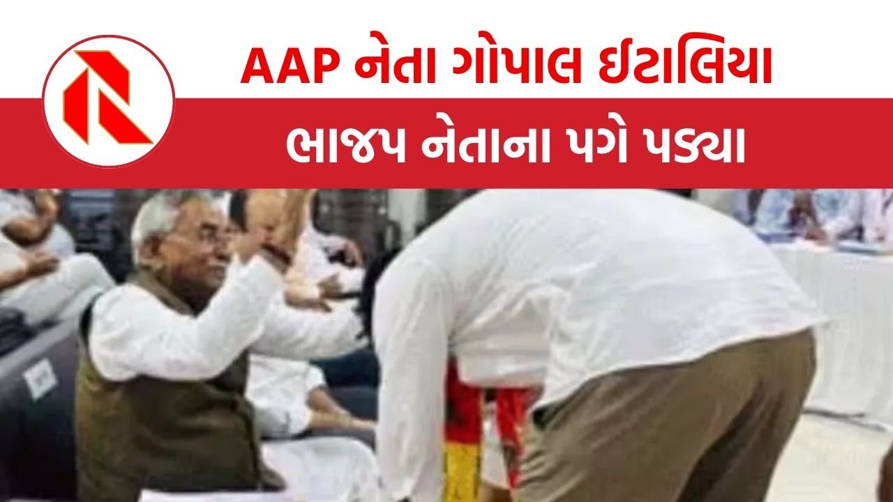 The gujarat report AAP BJP