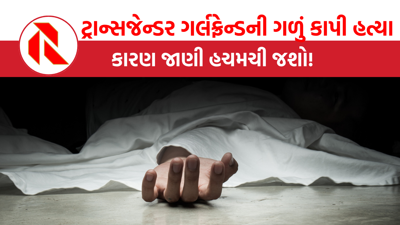 The gujarat report DELHI