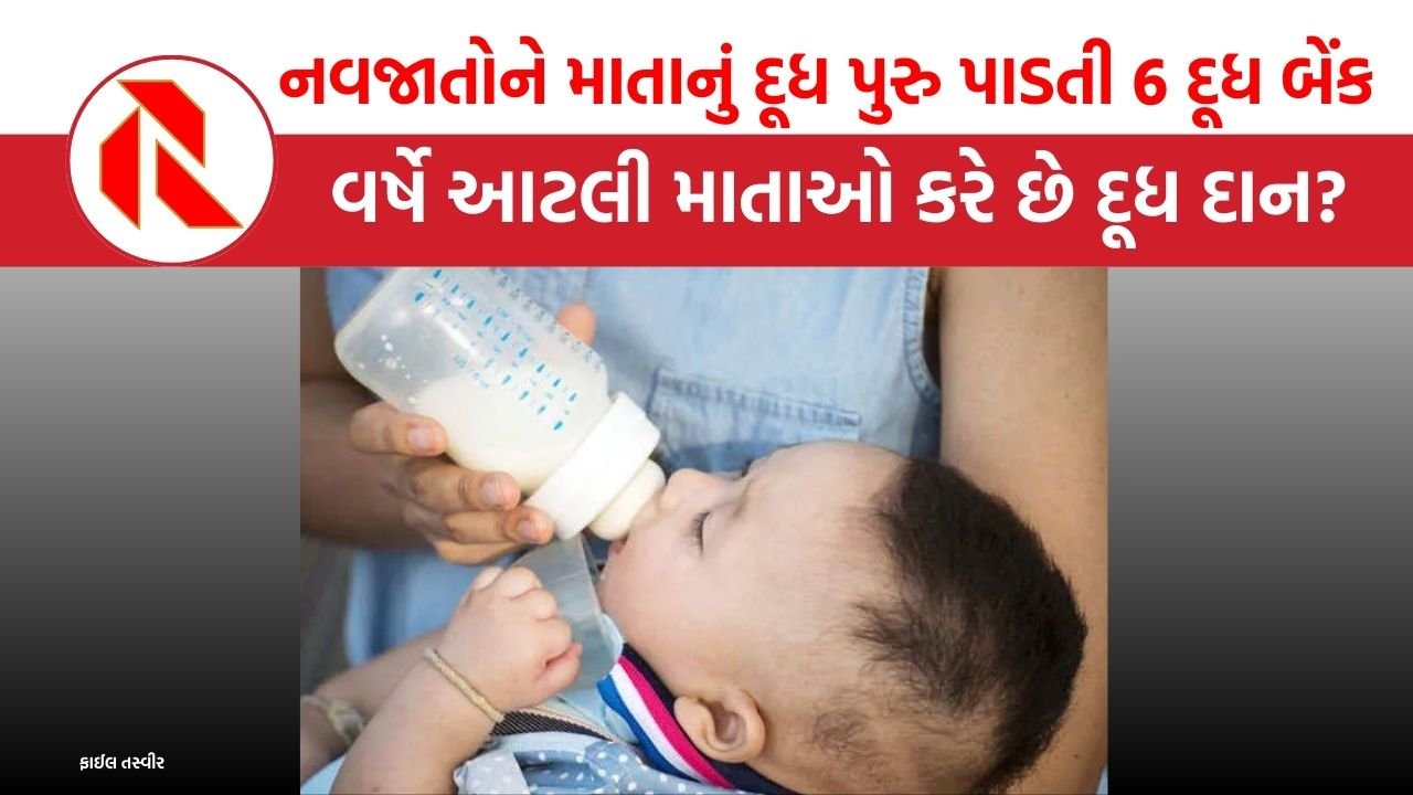 The gujarat report GUJARAT MILK BANK