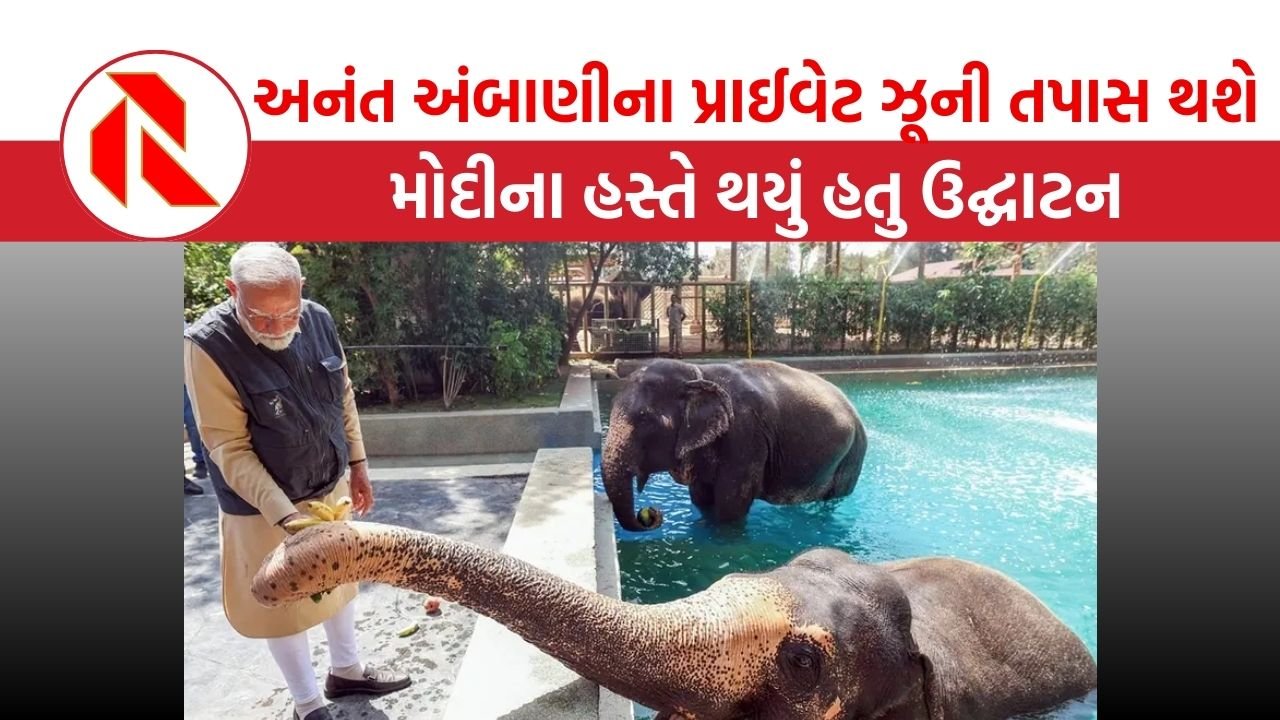 The gujarat report JAMANAGR VANTARA