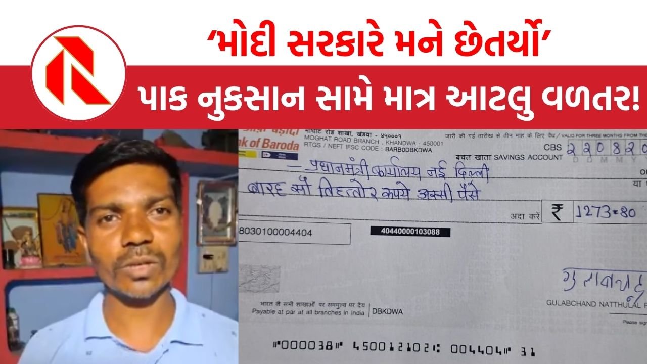 The gujarat report MP FARMER