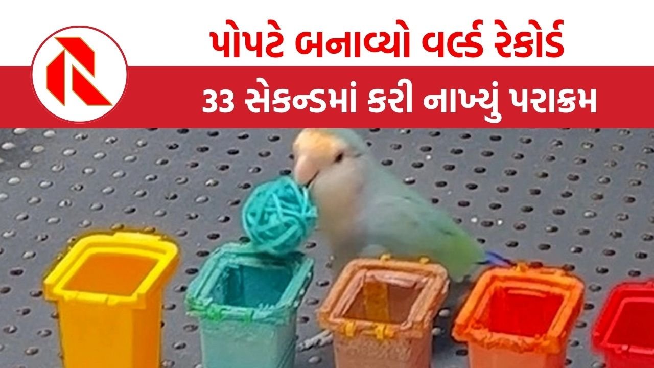 Parrot World Record