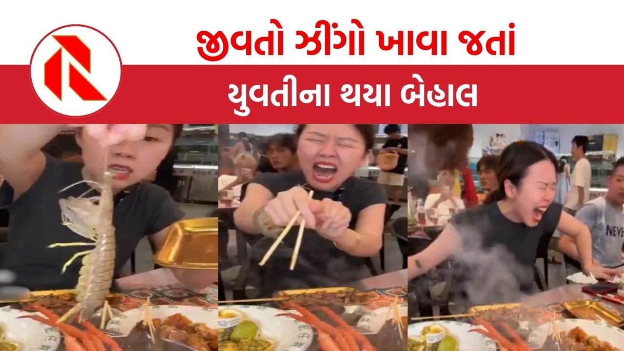 Ajab Gajab: જીવતો ઝીંગો ખાવા જતાં યુવતીને બચકું ભરી લીધુ, પછી થયા આવા હાલ!