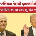 Peter Navarro