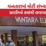 Vantara