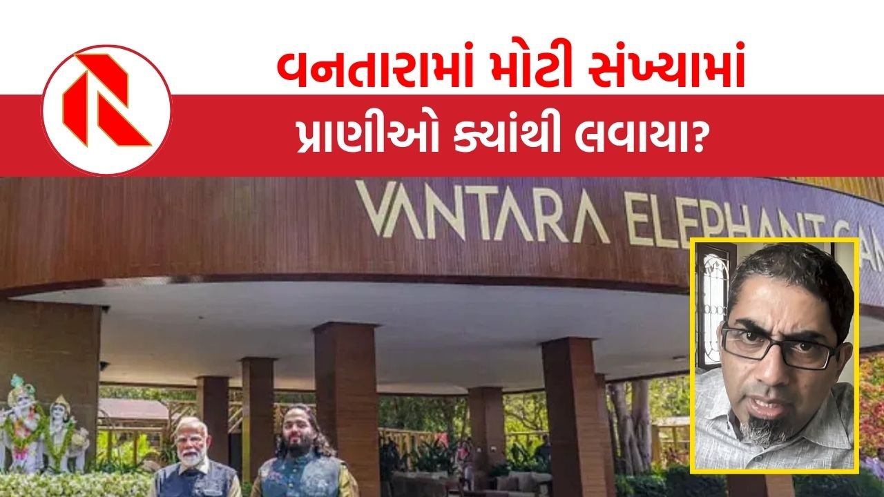 Vantara: વનતારામાં પ્રાણીઓ 4,600થી વધીને 75,000 થયા!, ઝડપથી વધતાં પ્રાણીઓ અંગે સવાલ?