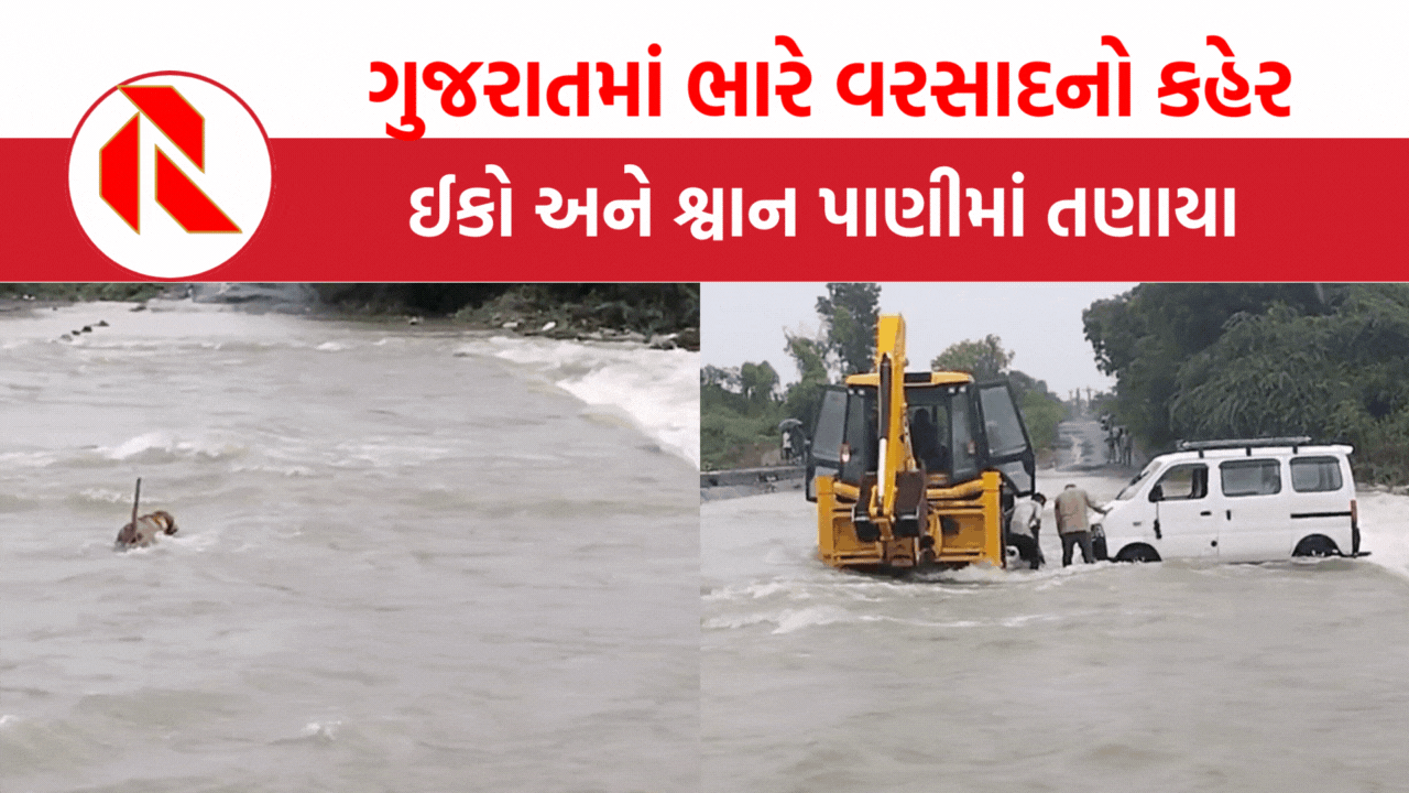 ગુજરાતમાં ભારે વરસાદનો કહેર: ઈકો ગાડી અને શ્વાન પાણીમાં તણાયા | Gujarat Heavy Rain