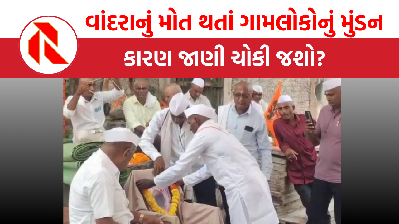 Ajab Gajab: વાંદરાનું મોત થતાં ગામલોકોનું મુંડન, કારણ જાણી ચોકી જશો?