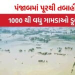Punjab Flood