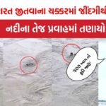 UP News