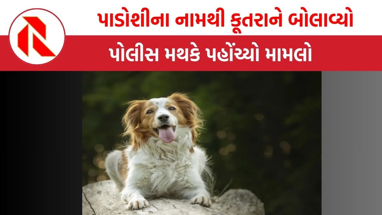 MP News: પાડોશીના હુલામણા નામથી પાલતુ કૂતરાને બોલાવવા પર બબાલ, એક વ્યક્તિને માથામાં ગંભીર ઈજા