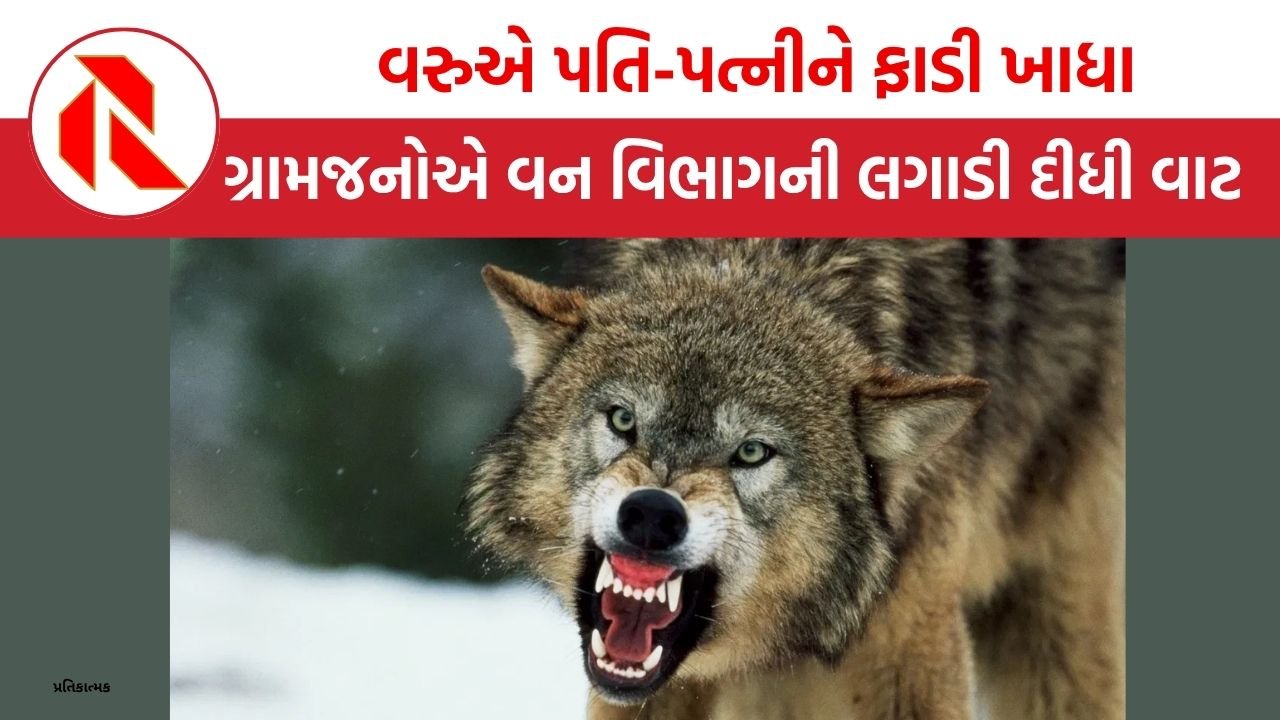 UP: વરુએ પતિ-પત્નીને ફાડી ખાધા, મૃતદેહો વિકૃત હાલતમાં મળ્યા, ગ્રામજનોએ વન વિભાગની લગાડી દીધી વાટ