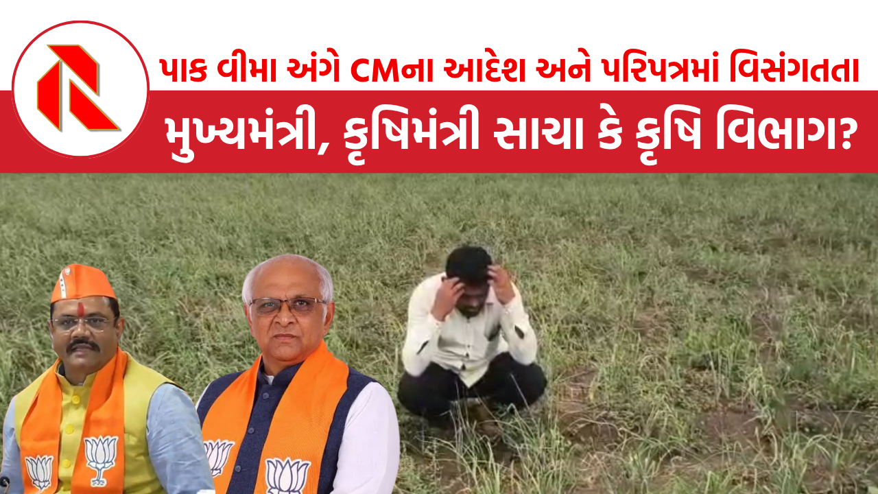 Gujarat: સરકારનું જૂઠ્ઠાણું!, પાક વીમા મામલે CMના આદેશ અને પરિપત્રમાં વિસંગતતા, ખેડૂતોએ કહ્યું અમારી સાથે મજાક!