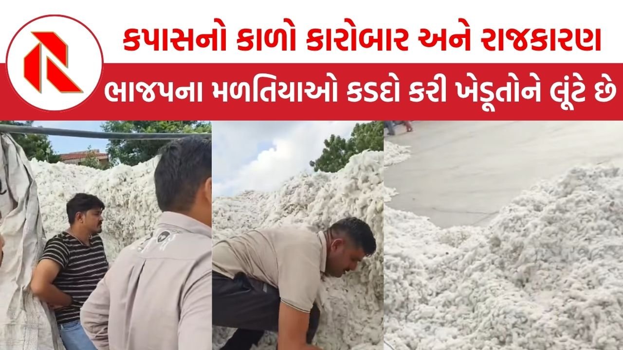 Botad: કપાસનો કાળો કારોબાર અને રાજકારણ, લડત પછી ડહાપણ