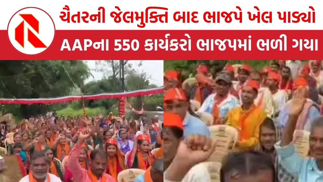 ચૈતર વસાવા જેલમાંથી છૂટ્યા બાદ BJP એ ખેલ પાડ્યો,  AAP ના 550 કાર્યકરોને ભાજપના ખેસ પહેરાવી દીધા