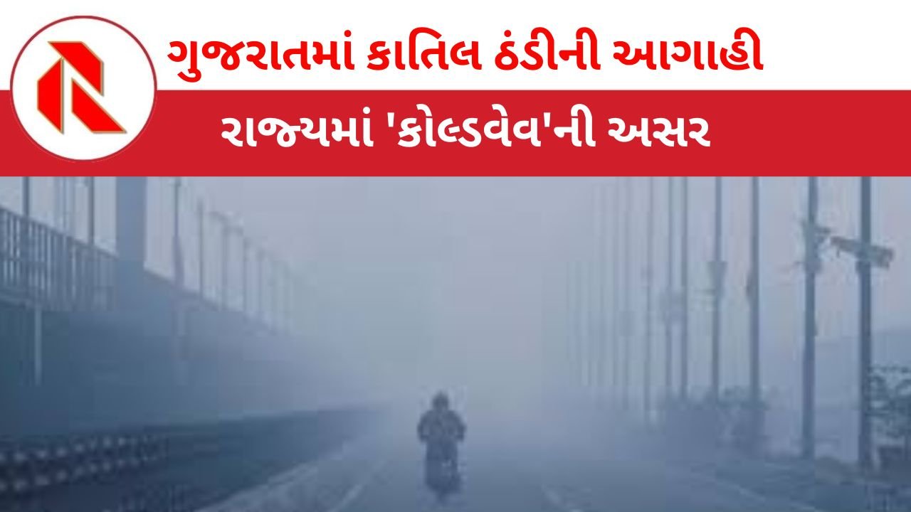Gujarat Winter | ગુજરાતમાં કાતિલ ઠંડીનું મોજું ફરી વળતા લોકો ઠુઠવાયા!હજુપણ ઠંડી વધવાની આગાહી