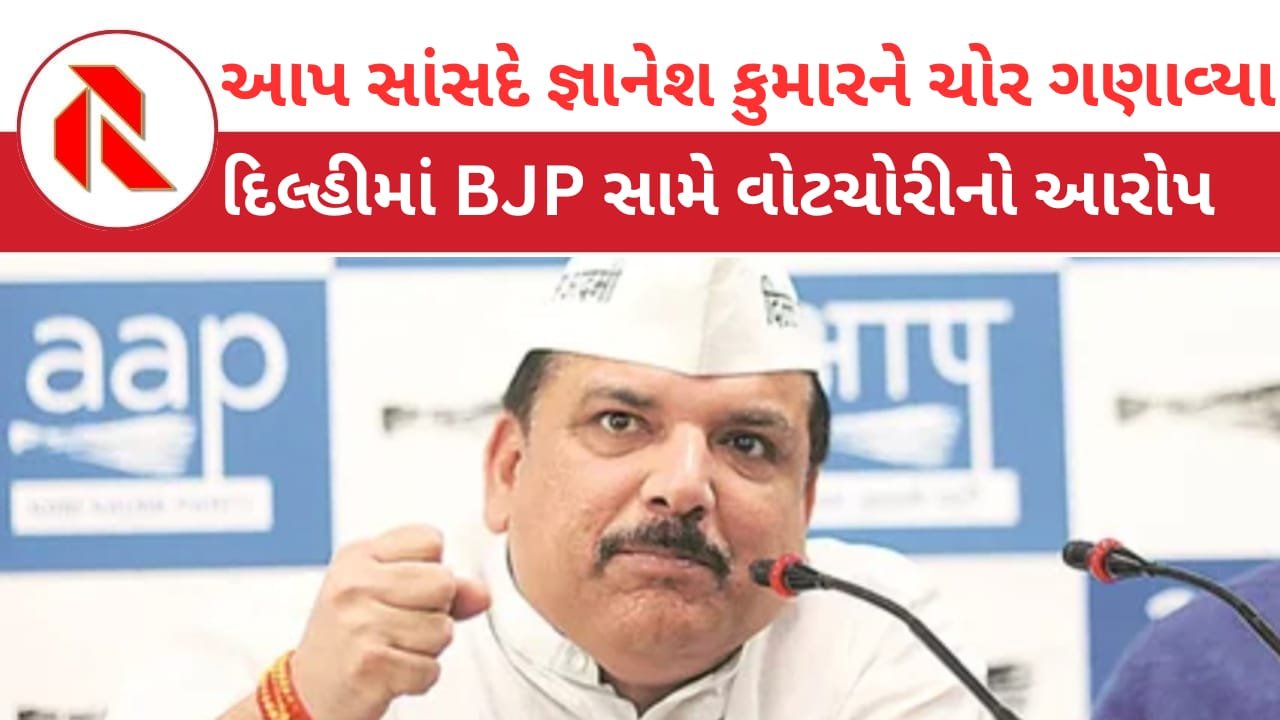 AAP Leader Sanjay Singh on Election Result: AAP સાંસદ સંજય સિંહે જ્ઞાનેશ કુમારને ‘મુખ્ય ચોર કમિશનર’ ગણાવ્યા!