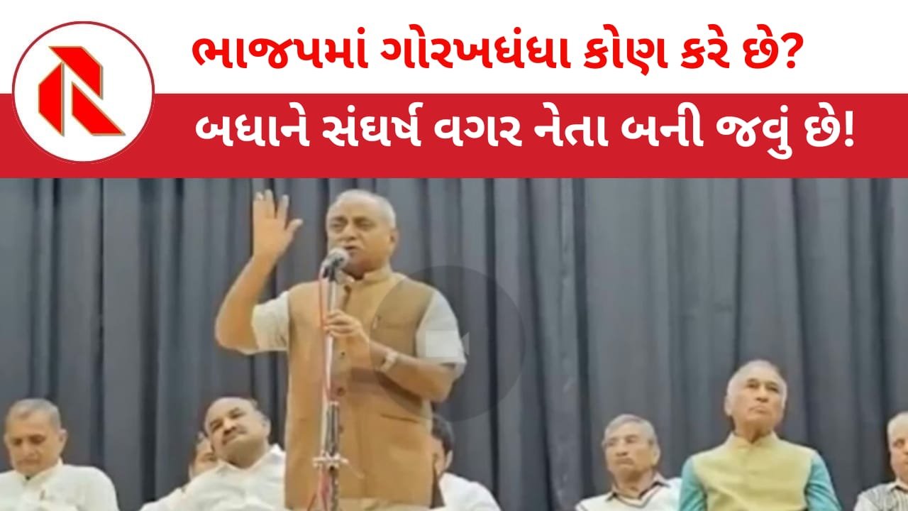Politics News: પૂર્વ નાયબ CMનું વિવાદાસ્પદ નિવેદન:”બધાને ગાડી પર ભાજપનો પટ્ટો લગાવીને નેતા બની જવું છે અને ગોરખધંધા પણ કરવા છે!”