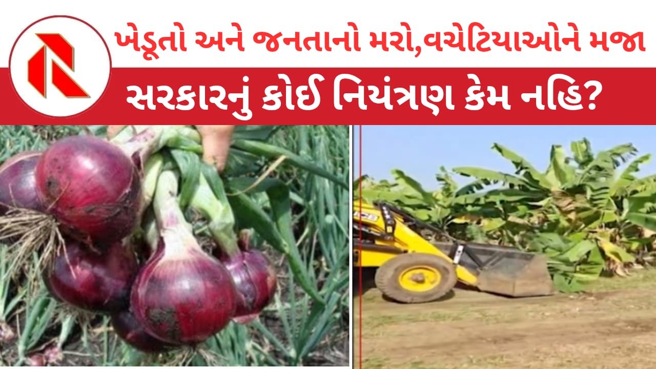 The plight of farmers: ખેડૂતોની મહાદશા,પાણીના ભાવે ખરીદી અને બજારમાં ત્રણ ઘણા ભાવે વેચવાનું! જનતા અને ખેડુતો ભોગ બની રહયા છે!