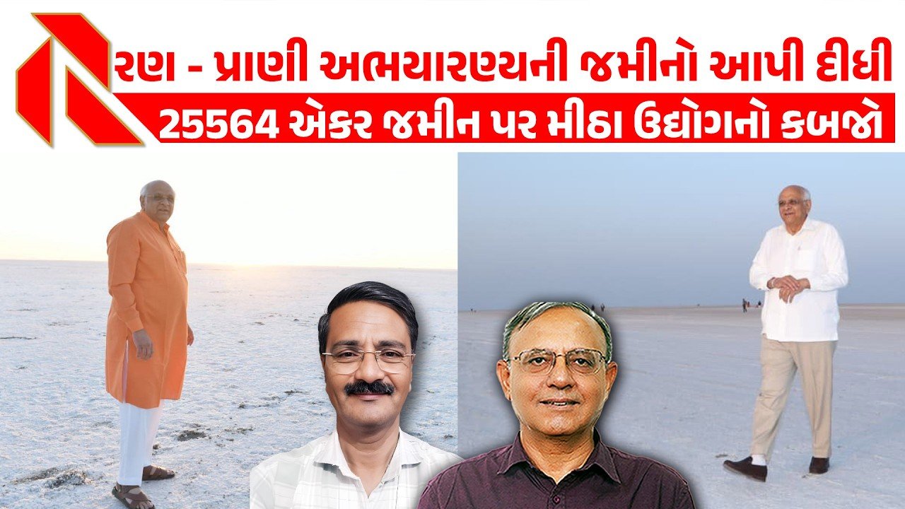Kutch: કચ્છમાં પ્રાણી અભયારણ્યની જમીનો પર મીઠા ઉદ્યોગનો કબ્જો! RTIમાં થયો ચોંકાવનારો ખુલાસો