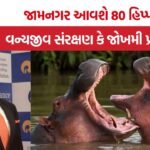 Colombia Hippos Vantara