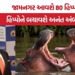 colombia hippos vantara