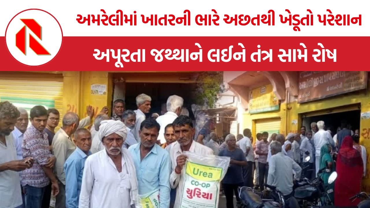 Amreli fertilizer shortage: અમરેલીમાં ખાતર માટે આક્રંદ: સવારે ૫ વાગ્યાથી કતારો, ખેડૂતો બોલ્યા- “આવા ભાવ વધારામાં ખેતી કેમ કરવી?”